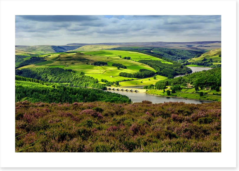 Bamford foliage