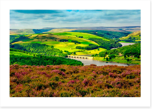 Bamford foliage