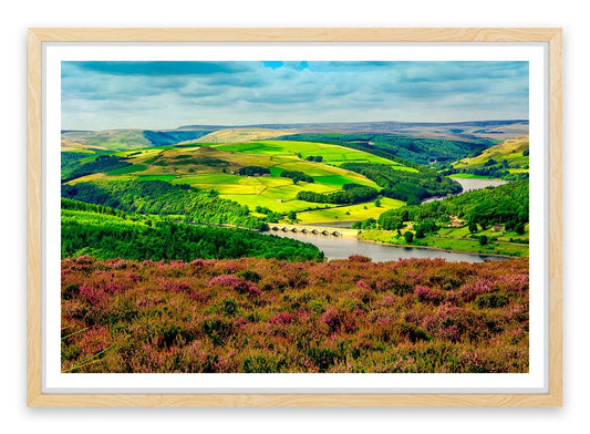Bamford foliage