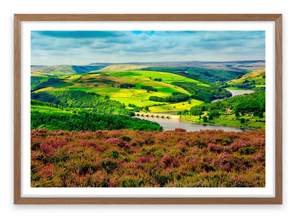 Bamford foliage