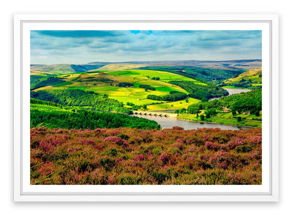 Bamford foliage