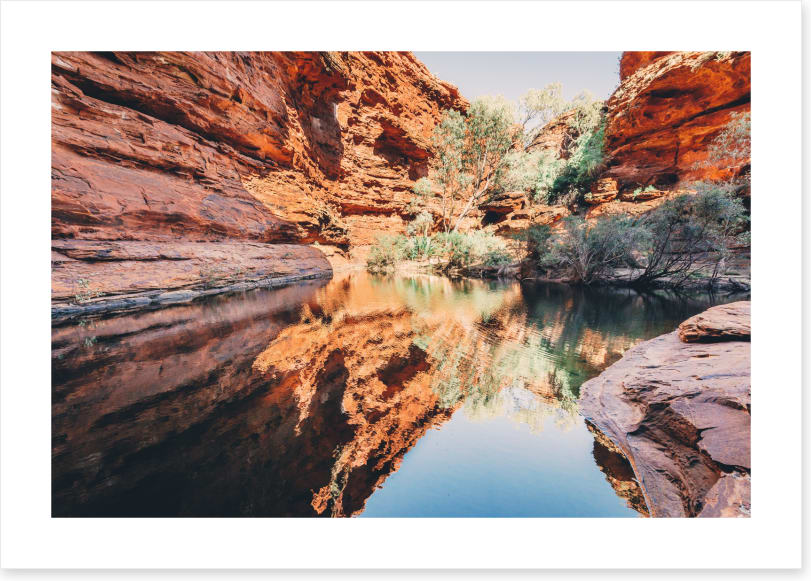 Watering hole reflections