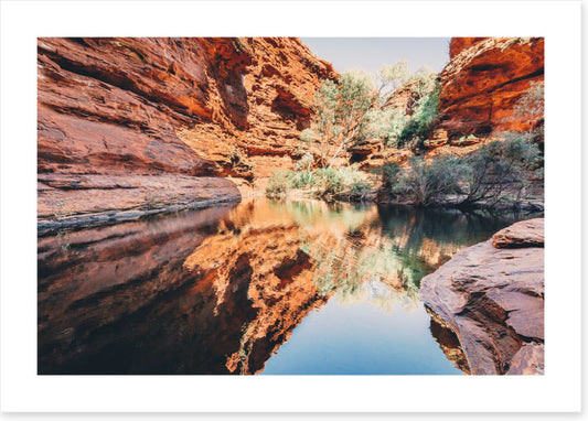 Watering hole reflections