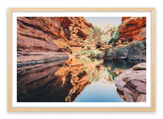 Watering hole reflections