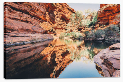 Watering hole reflections