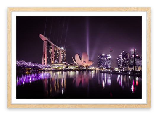 The Singapore flower
