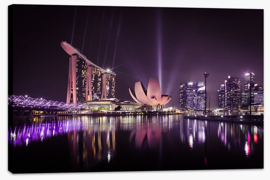 The Singapore flower