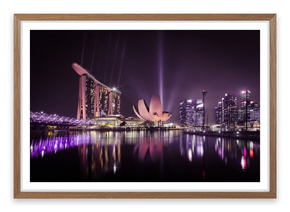 The Singapore flower