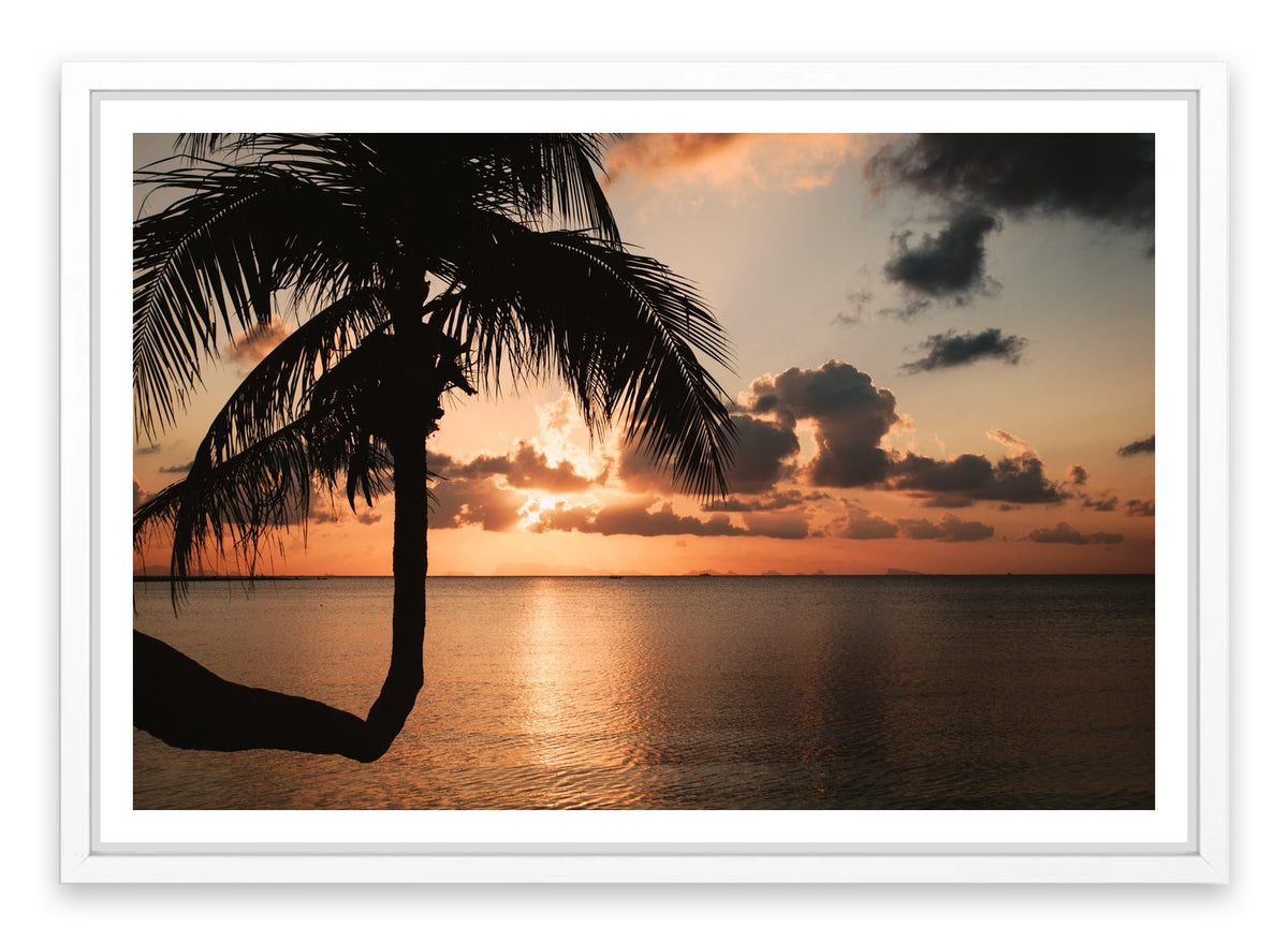 Sunset and palm