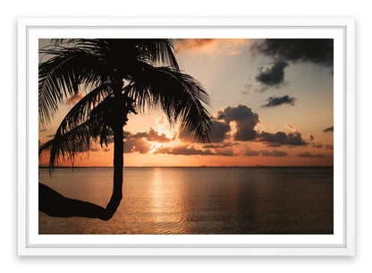 Sunset and palm