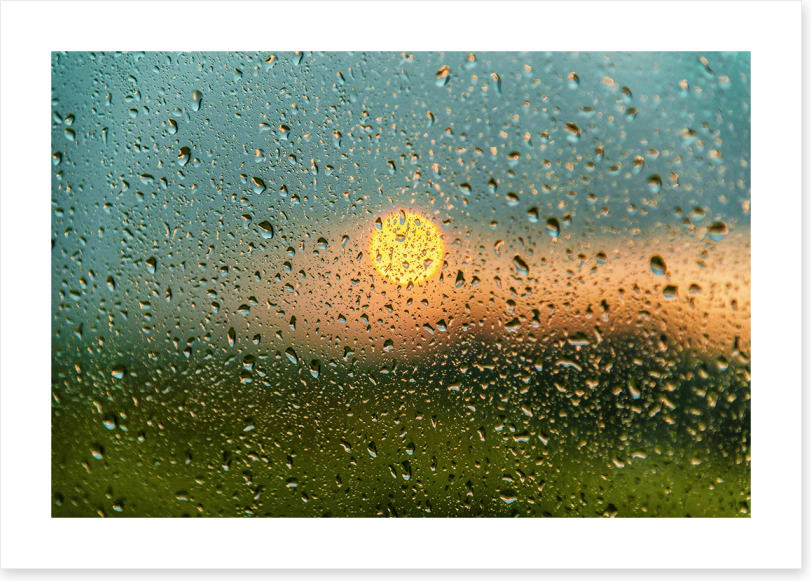 After the rain