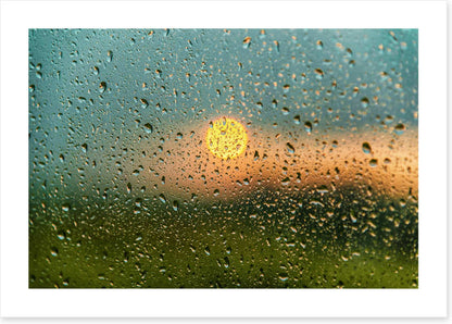 After the rain