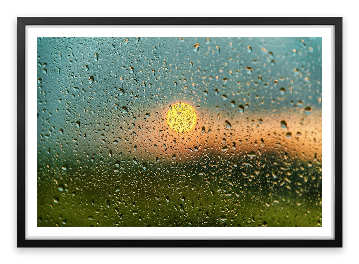 After the rain