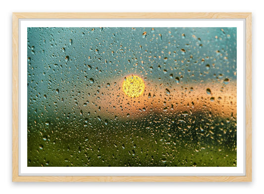 After the rain