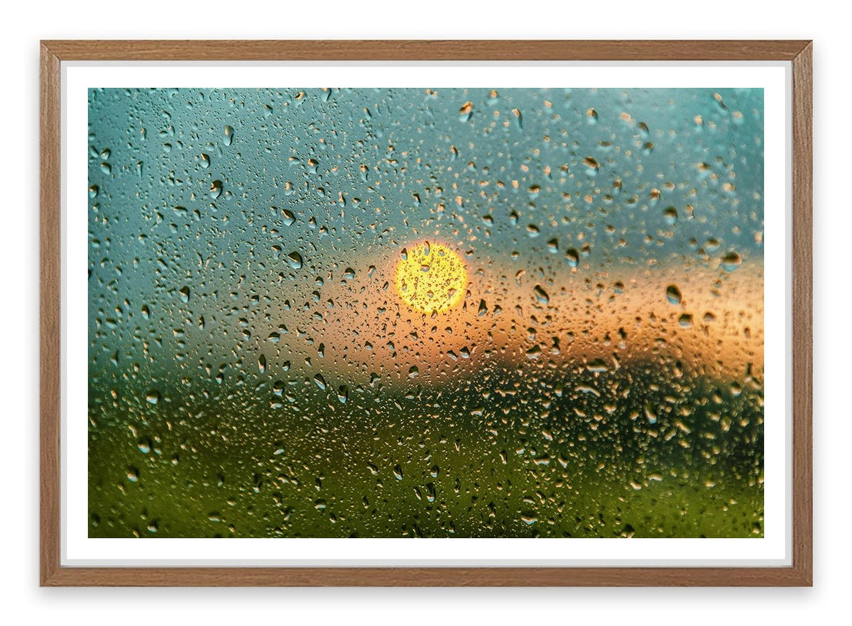 After the rain