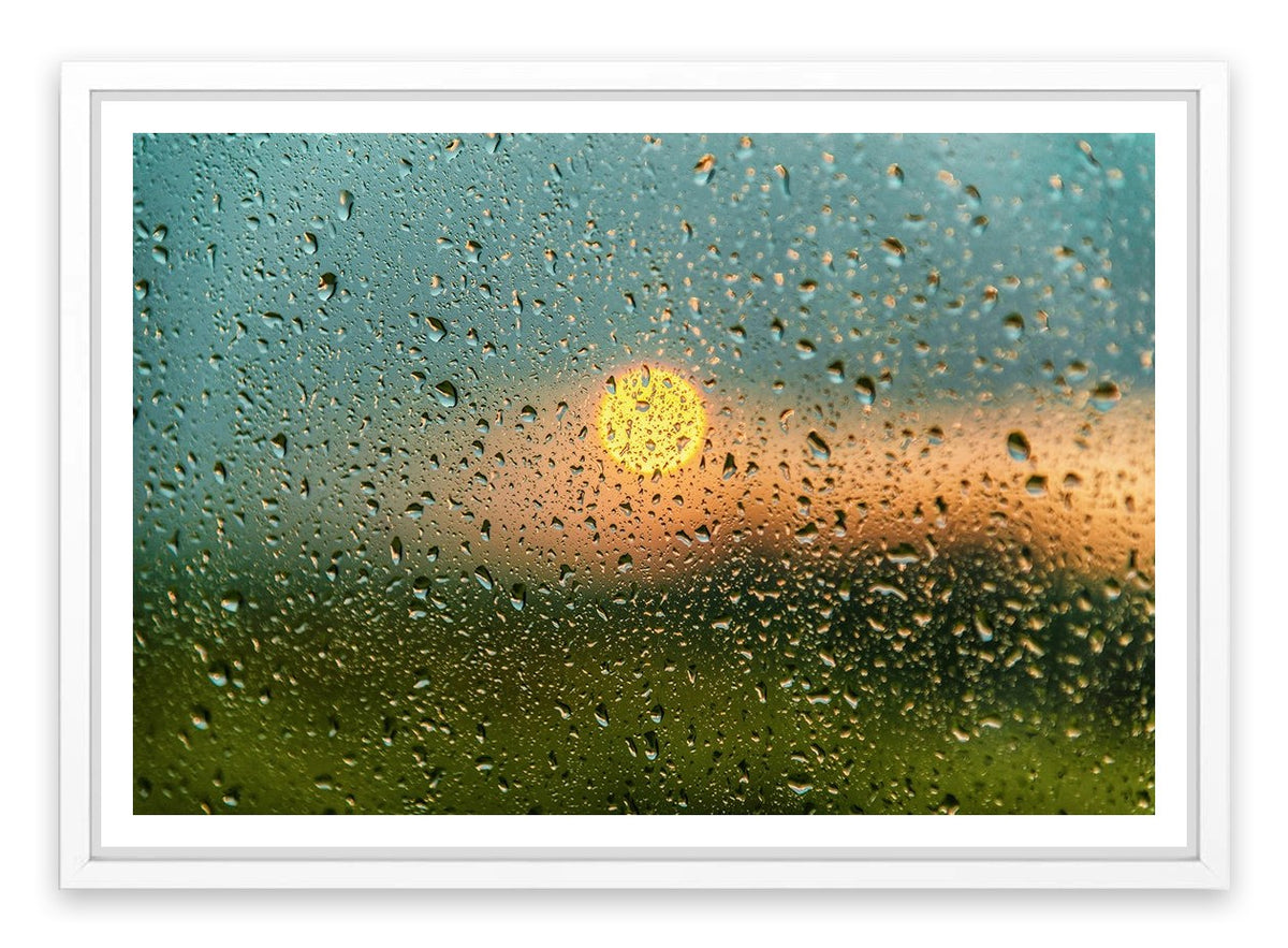 After the rain