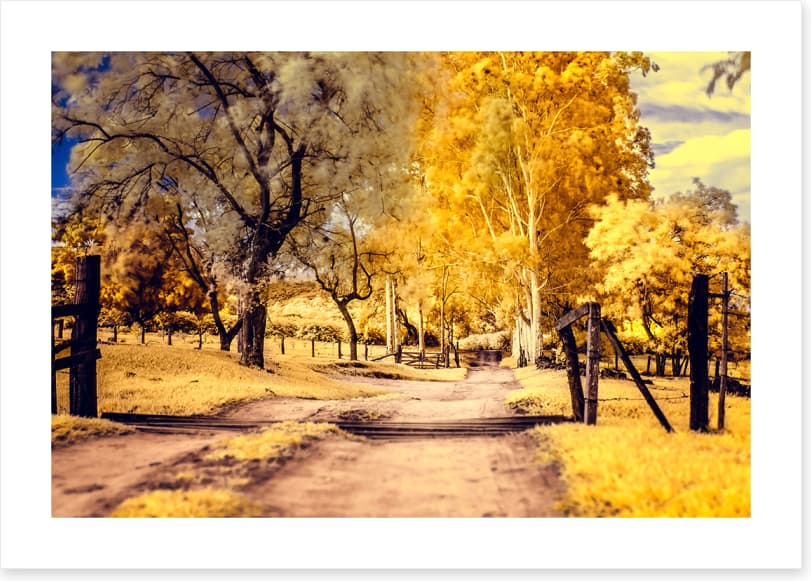 The yellow path