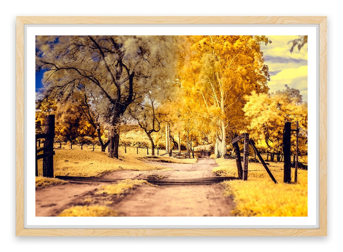 The yellow path
