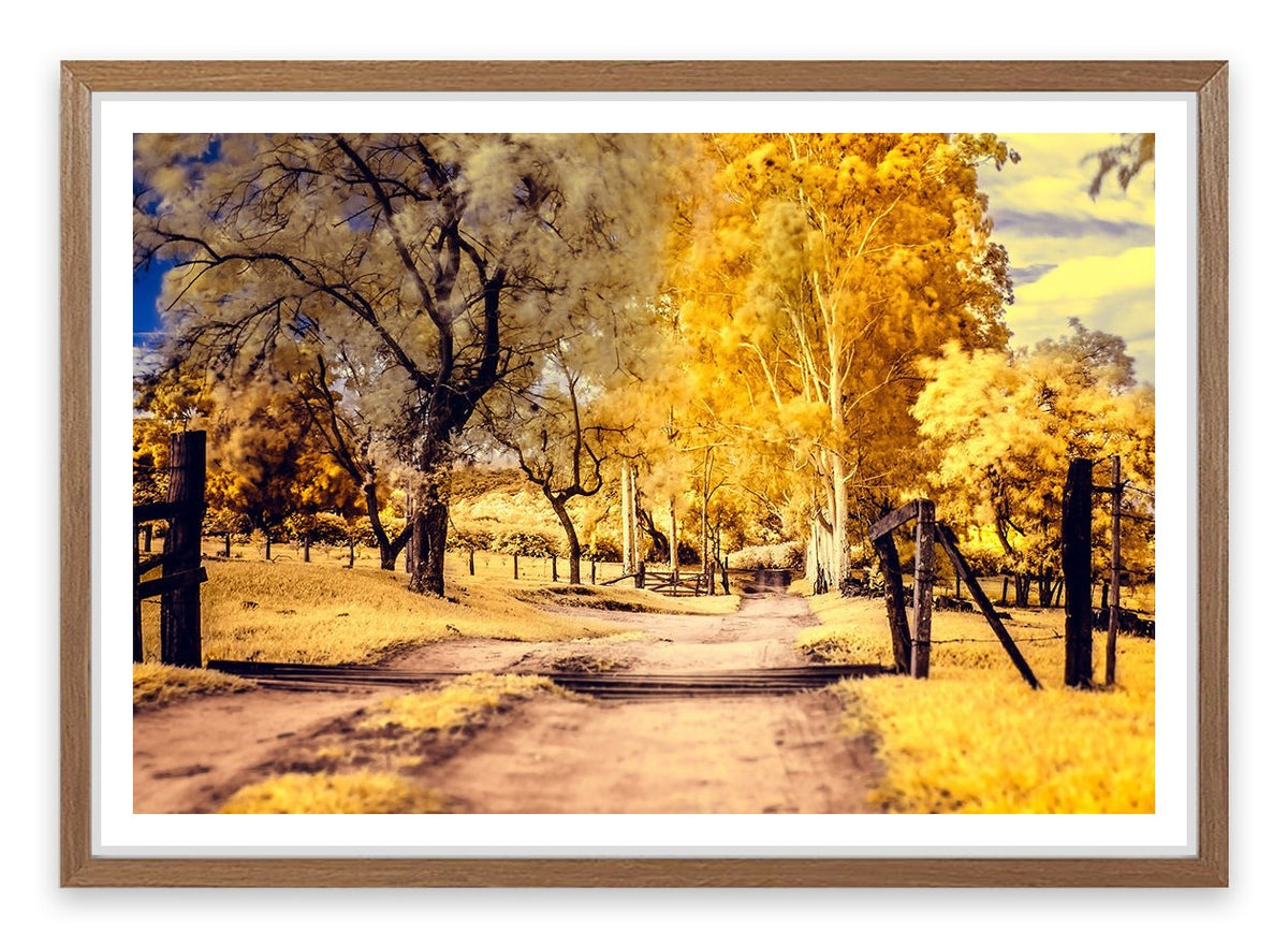 The yellow path