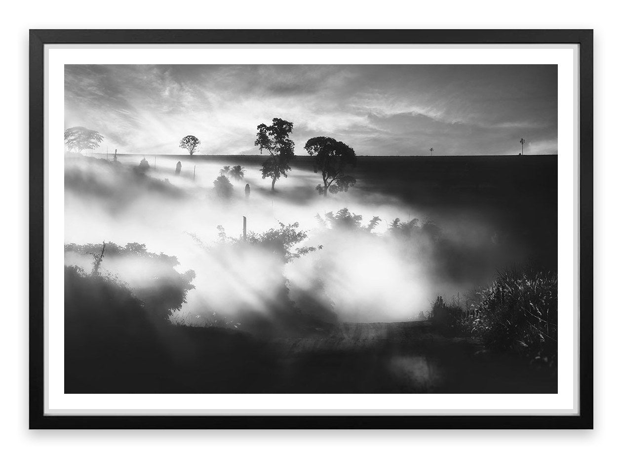 Foggy silhouettes