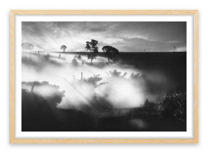 Foggy silhouettes
