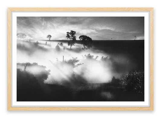 Foggy silhouettes