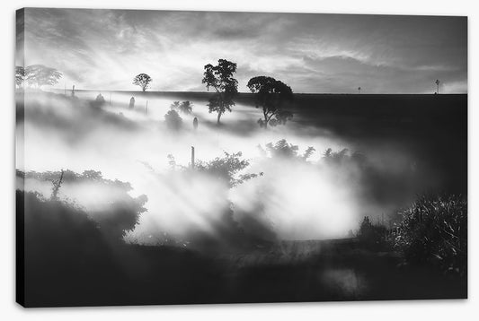 Foggy silhouettes