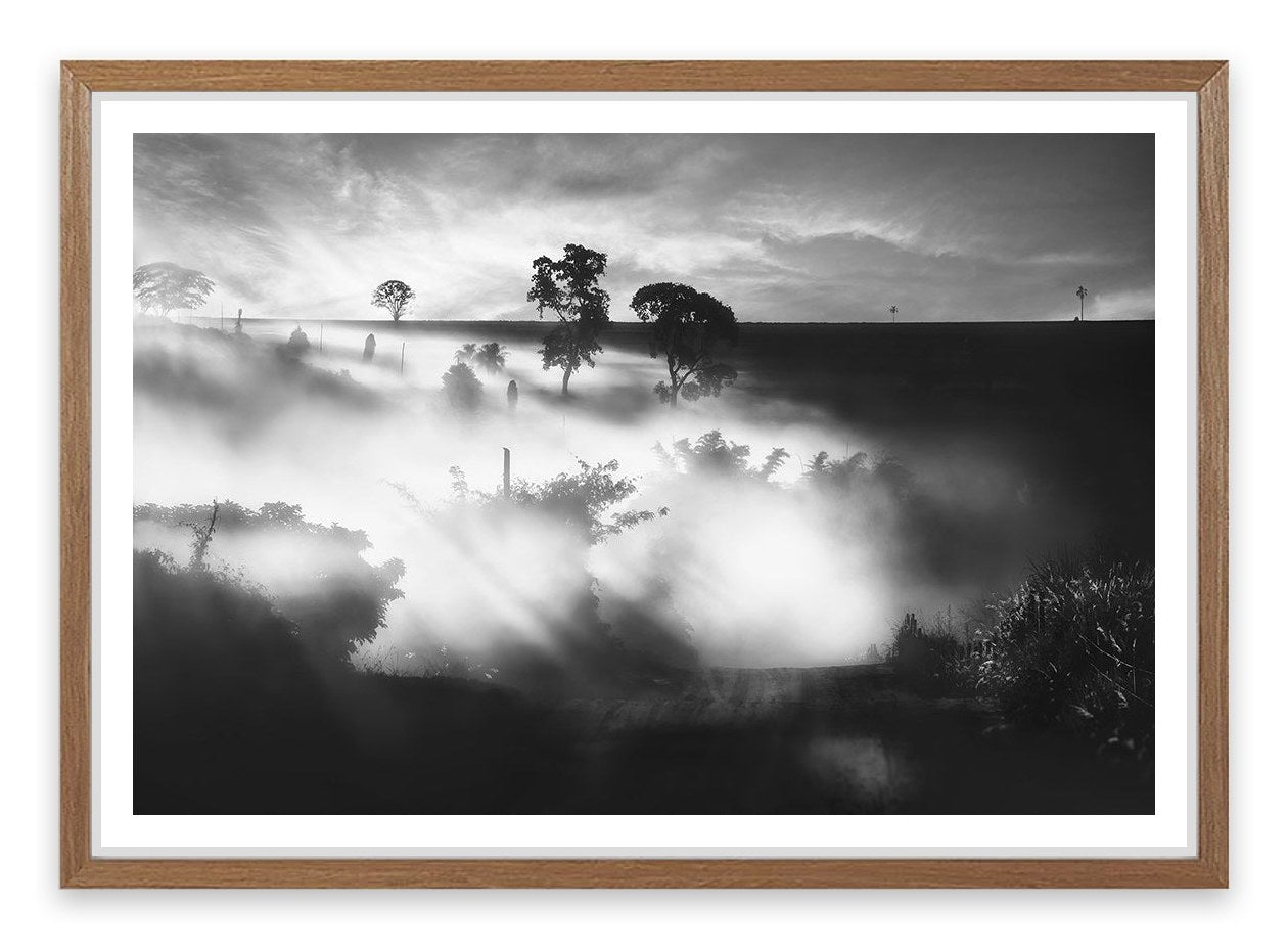 Foggy silhouettes