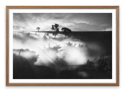 Foggy silhouettes