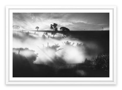 Foggy silhouettes