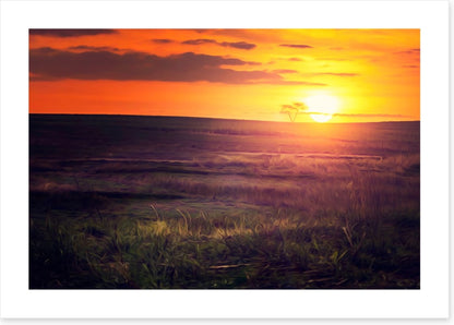 Golden sunset