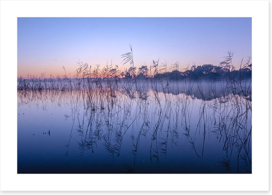 Seaford wetlands