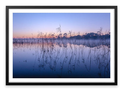 Seaford wetlands
