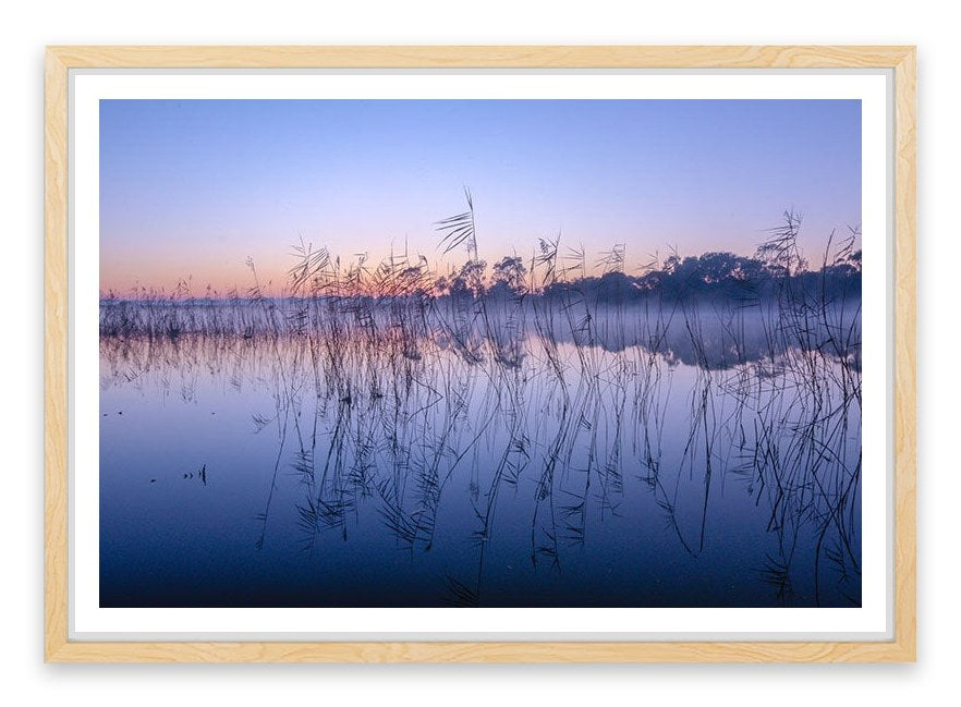Seaford wetlands