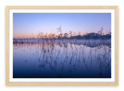 Seaford wetlands