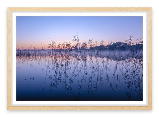 Seaford wetlands