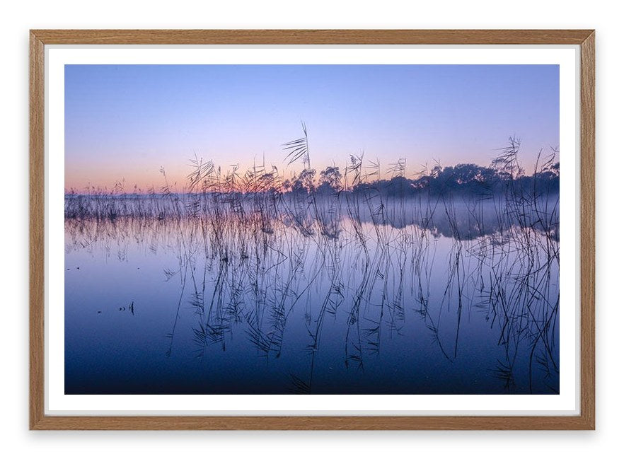 Seaford wetlands
