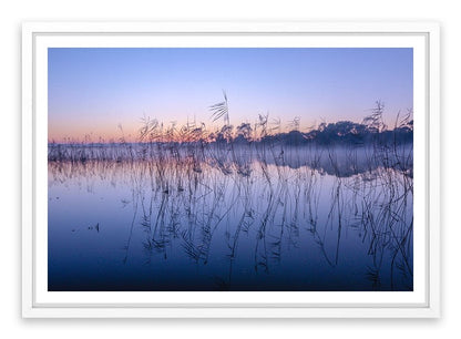 Seaford wetlands