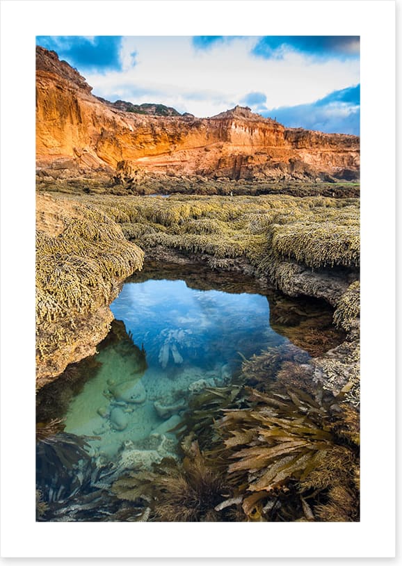 Rockpool, Mornington Peninsula