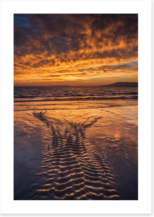 Ripples in the sand