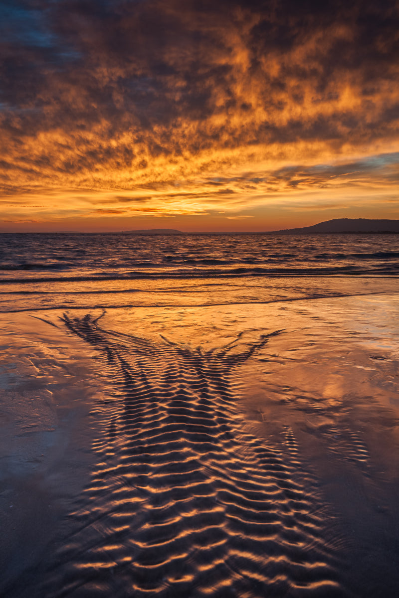 Ripples in the sand
