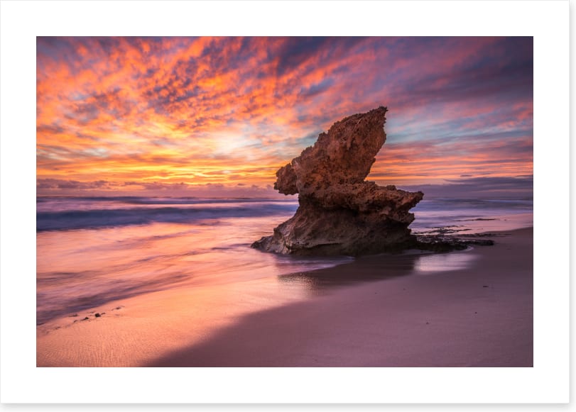 Lizard Head rock