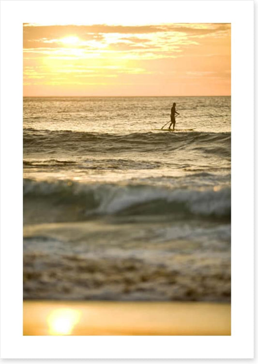 Avalon beach paddle boarder at sunrise