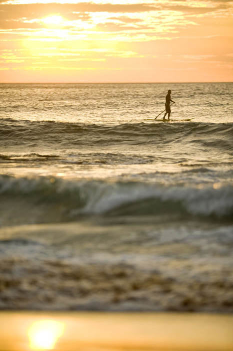 Avalon beach paddle boarder at sunrise