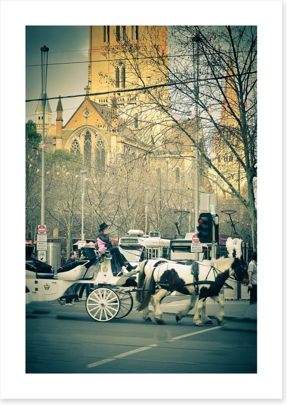 Winter in the city