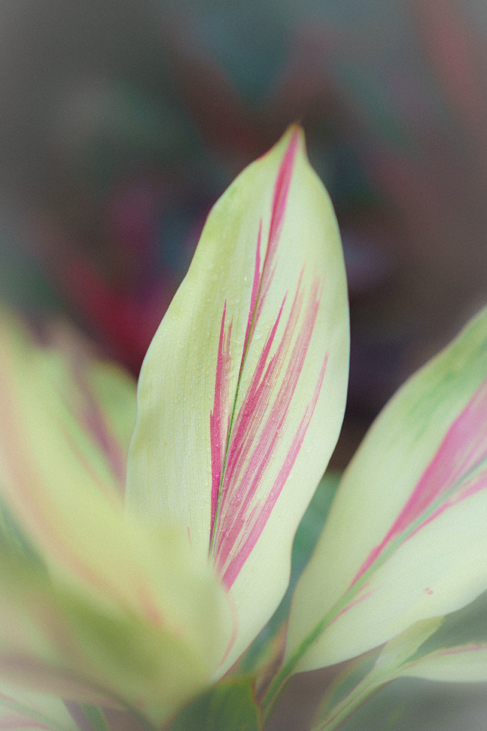 Natural strokes