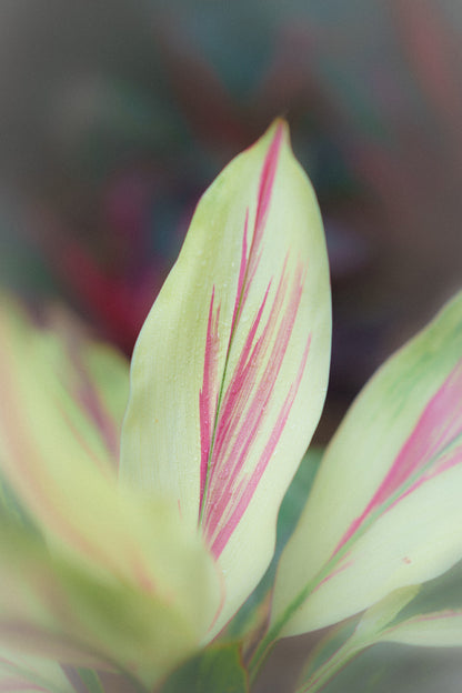 Natural strokes