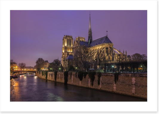 Notre Dame dusk