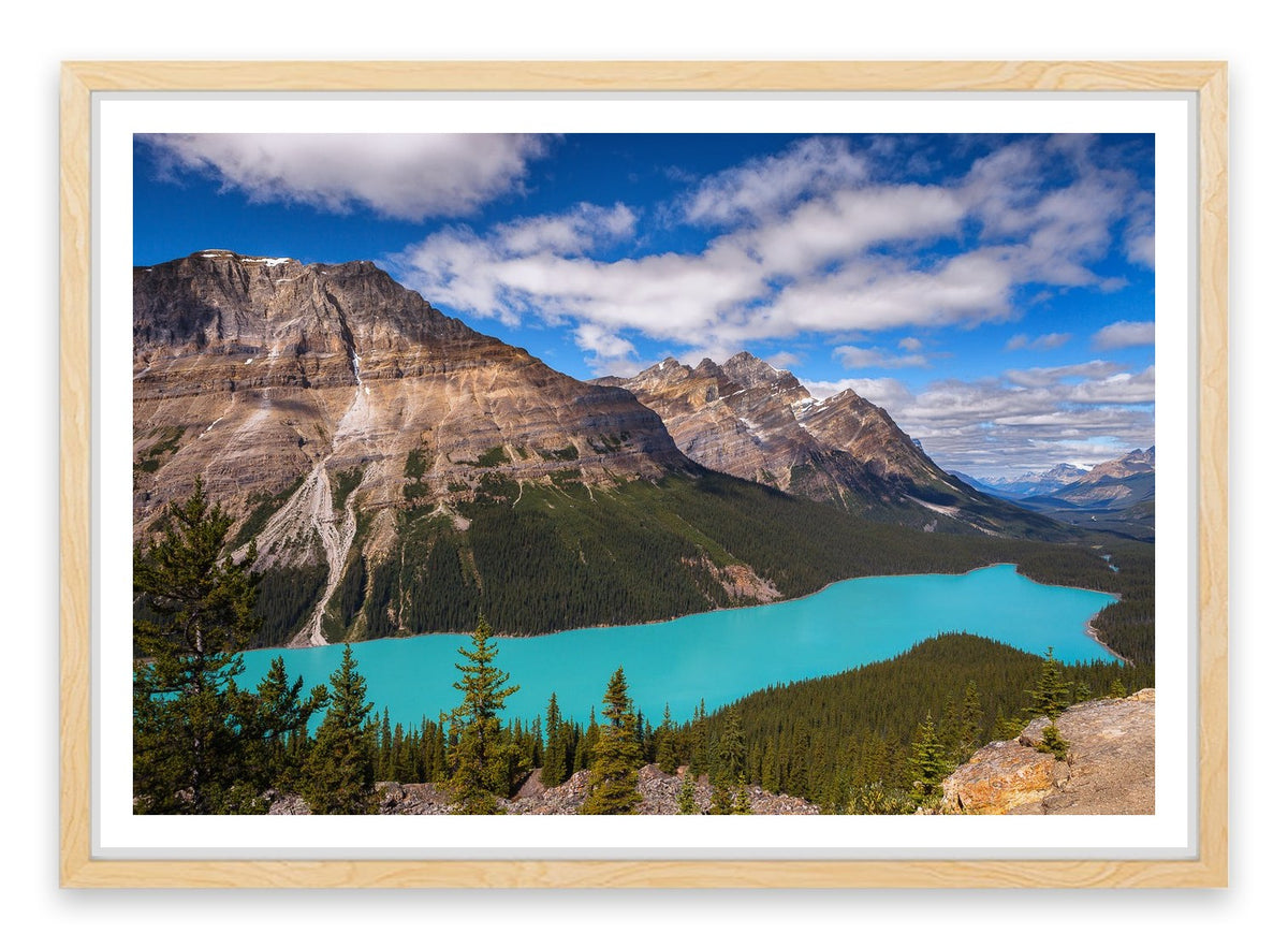 Peyto view