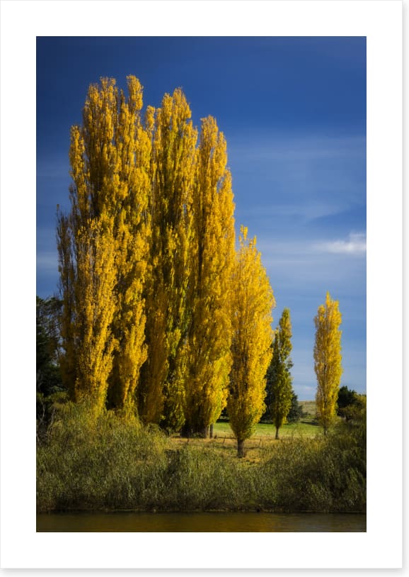 High country autumn